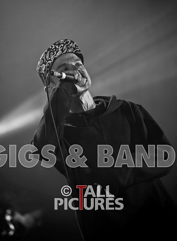 Asylum Seekas-25 - ASYLUM SEEKAS AT IVY CASTLE