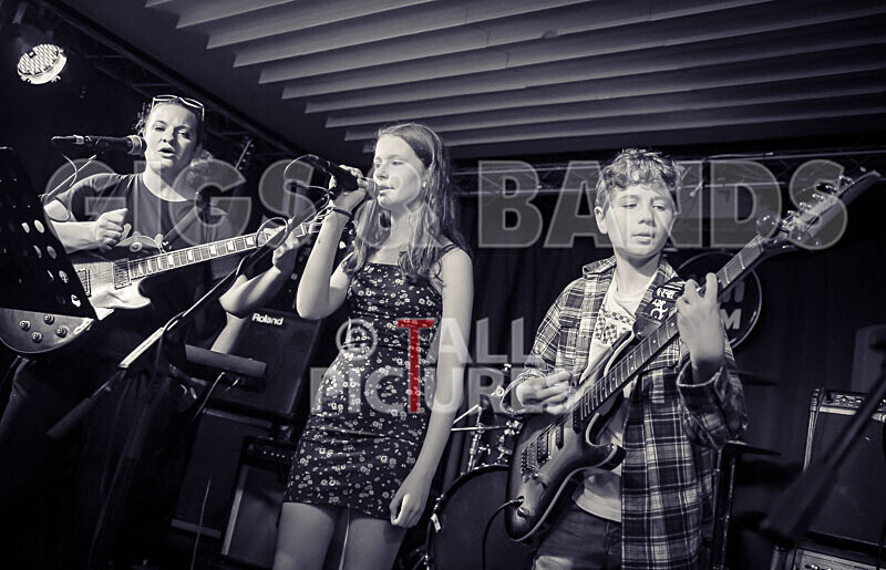 Two Inch Chairs-18 - 2 INCH CHAIRS