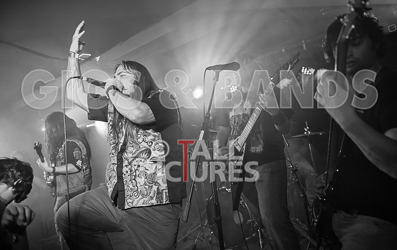 Stone Em All-200 - STONE EM ALL