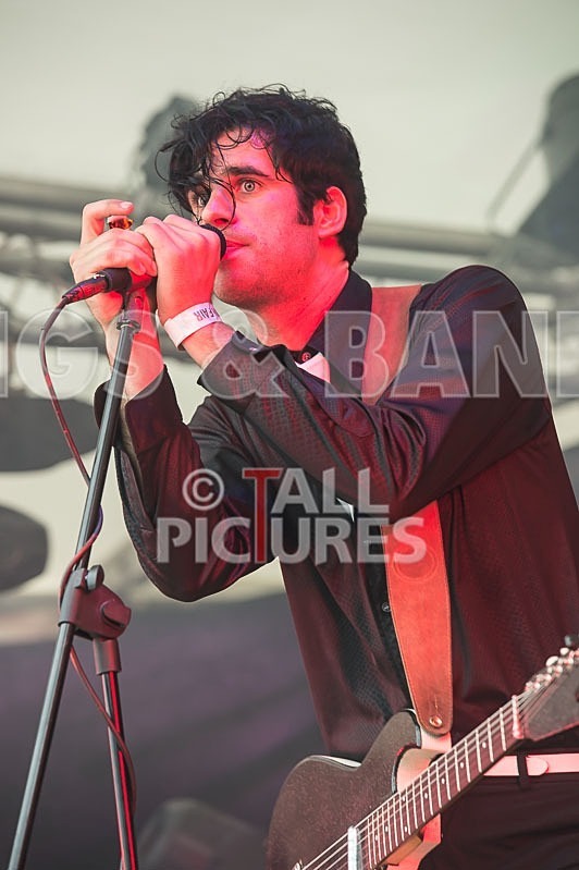 Surfin Birds-1 - THE SURFIN' BIRDS