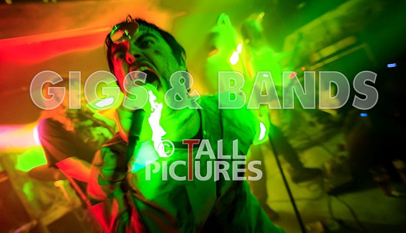 Maiden Guernsey-148 - MAIDEN GUERNSEY