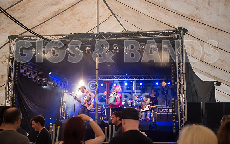 Static Alice-370 - STATIC ALICE