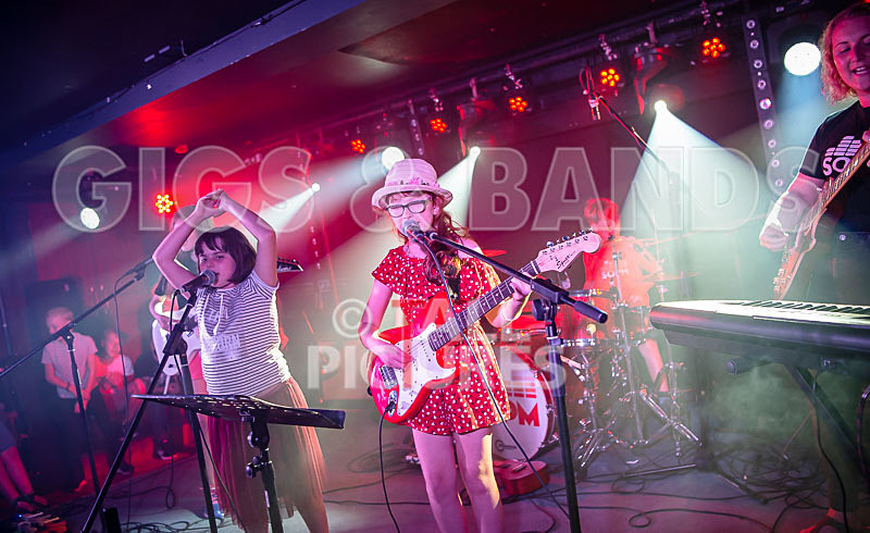 The Flaming Flamingos-1 - THE FLAMING FLAMINGOES