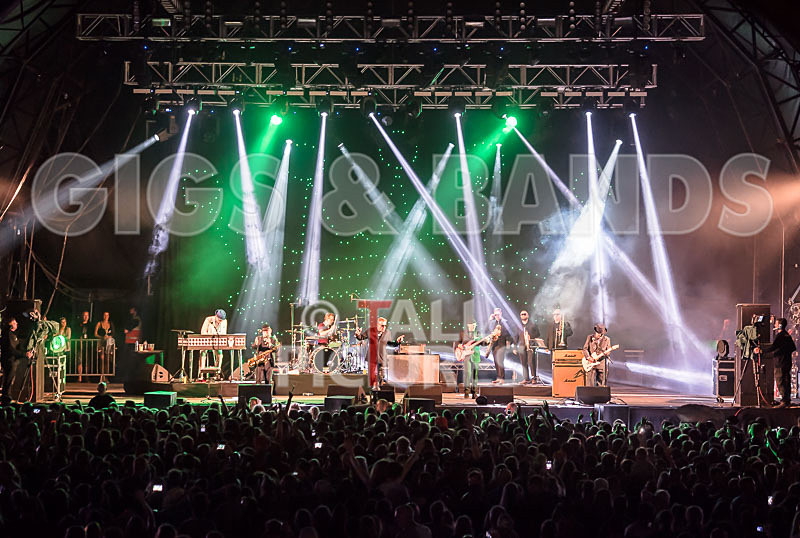 Madness-50 - MADNESS