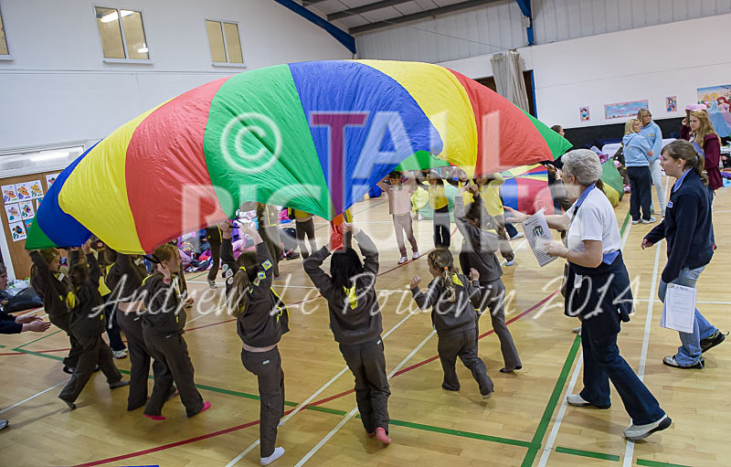 Big Brownie Birthday Party-39 - BROWNIE CENTENARY BROWNIE SLEEPOVER