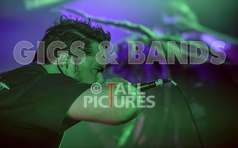 Masticated-7 - MASTICATED