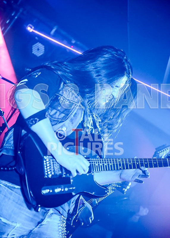 Stone Em All-232 - STONE EM ALL