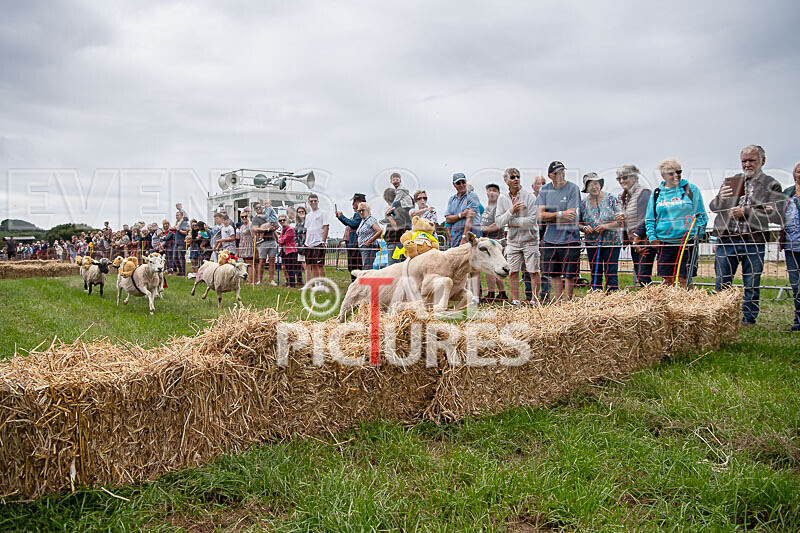 Guernsey Agricultural Show 2021-321 - GUERNSEY AGRICULTURAL SHOW 2021