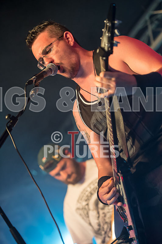 Demise of Sanity-117 - DEMISE OF SANITY