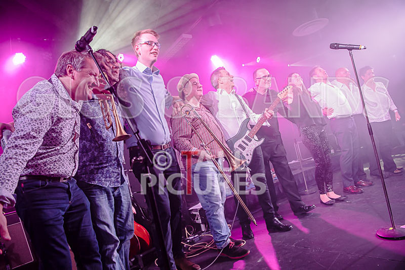 King Rat  the Soul Cats-313 - KING RAT AND THE SOUL CATS