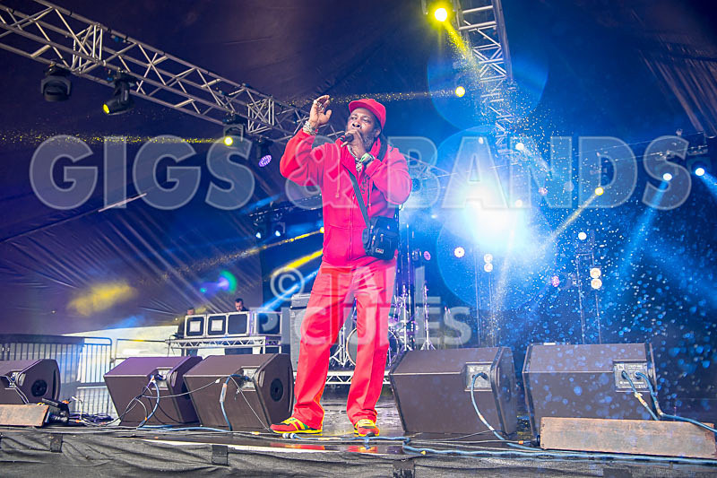 Prince Fatty Soundsystem-2 - PRINCE FATTY SOUNDSYSTEM