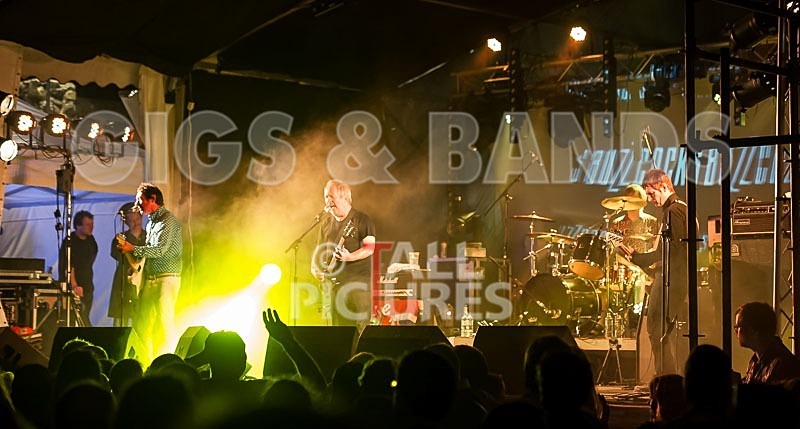 The Buzzcocks-49 - BUZZCOCKS