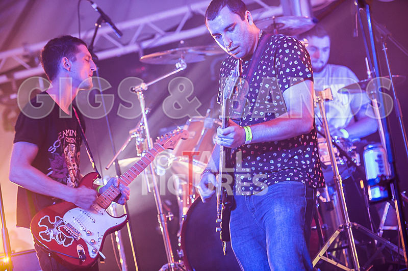 Subversion-45 - SUBVERSION