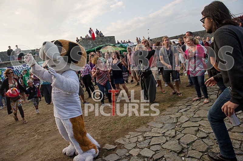 Vale Earth Fair_2013_Atmosphere-59 - VALE EARTH FAIR 2013_THE ATMOSPHERE