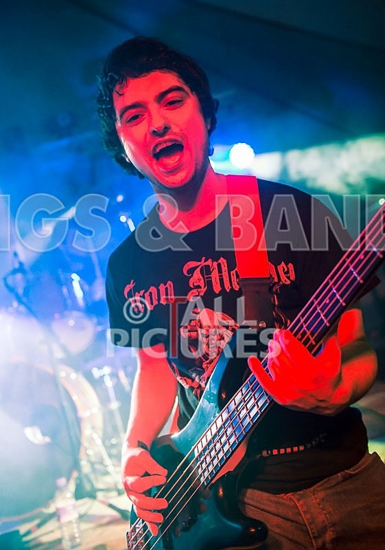 Stone Em All-55 - STONE EM ALL