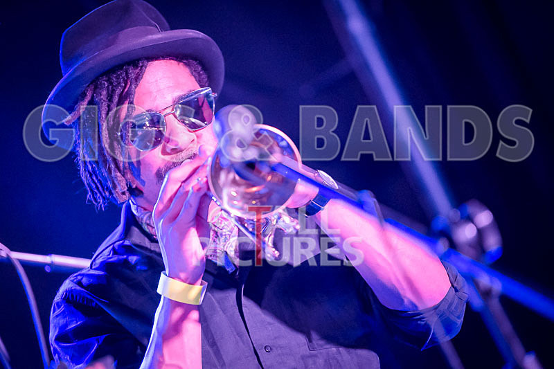 The Rectory Hill Skillet Lickers-6 - VALE EARTH FAIR UNPLUGGED 2018