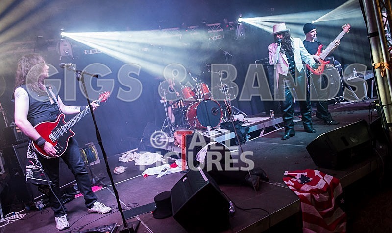 Gallus Cooper-75 - GALLUS COOPER