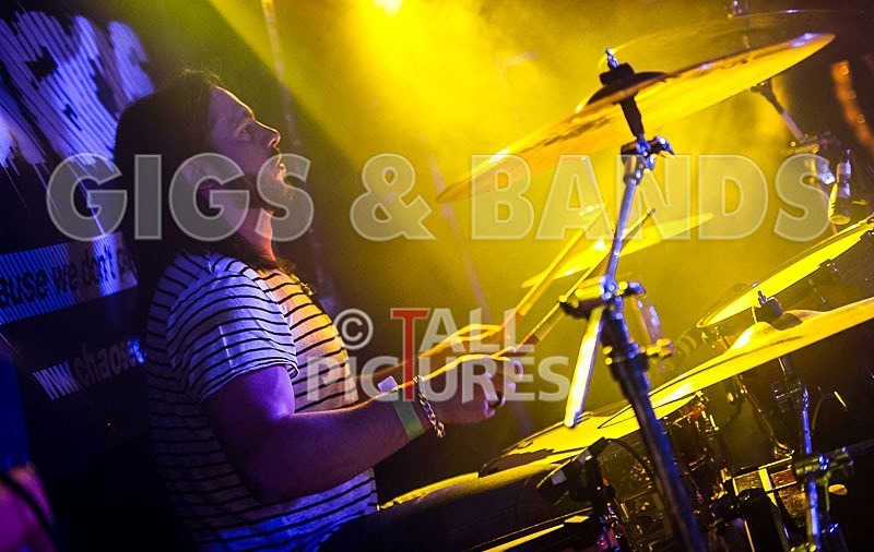 Harlequin Knights-33 - HARLEQUIN KNIGHTS