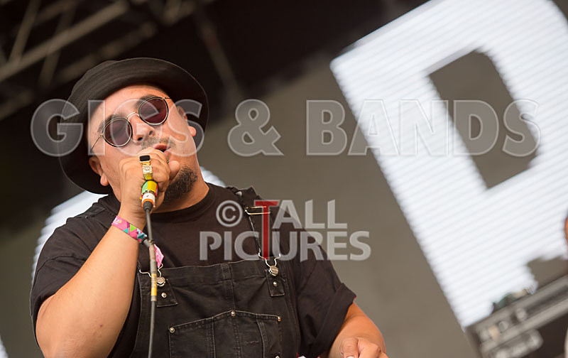 Kiko Bun-15 - KIKO BUN