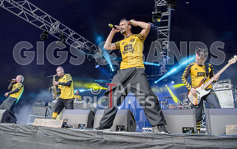 Dubioza Kolektiv-5 - DUBIOZA KOLEKTIV