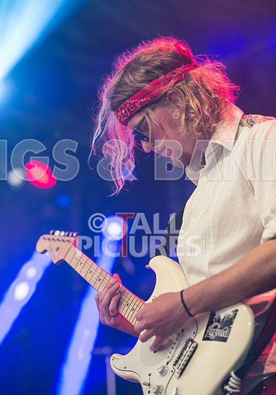 Rat Salad-2 - RAT SALAD