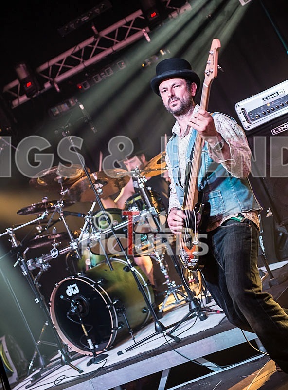 Peppered Ant Legs_Chaos8-12 - PEPPERED ANT LEGS