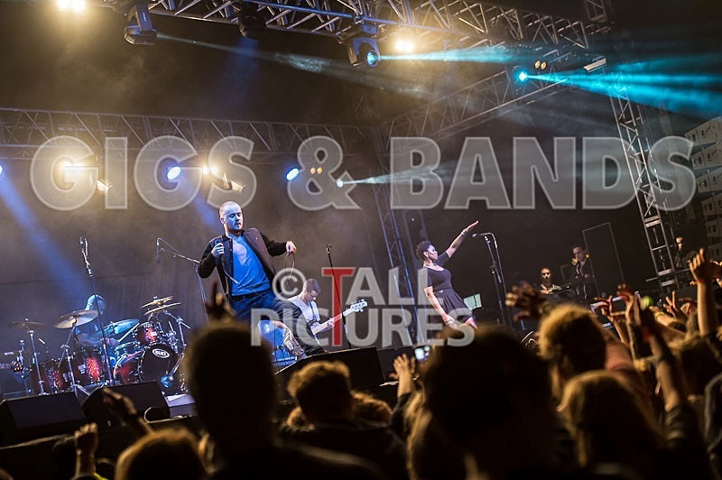 Maverick Sabre-25 - MAVERICK SABRE