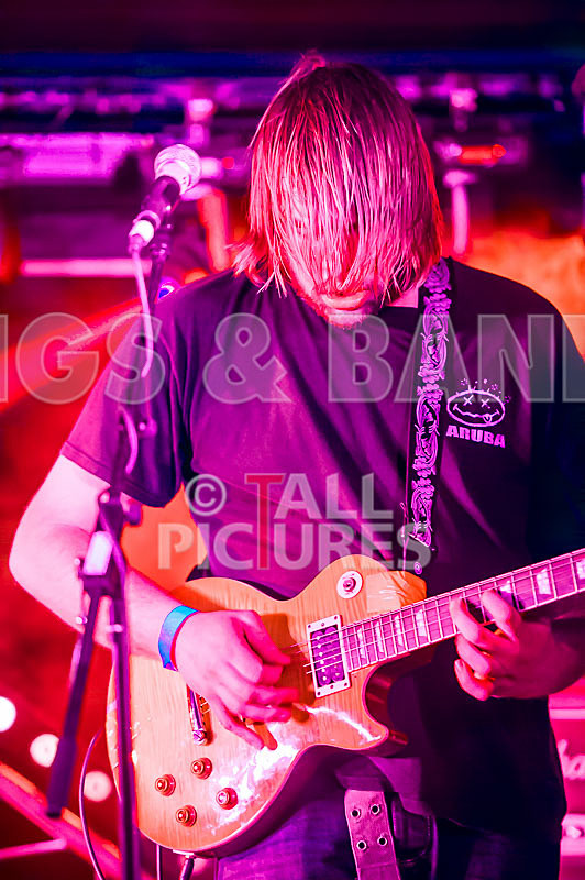 To the Woods-215 - TO THE WOODS