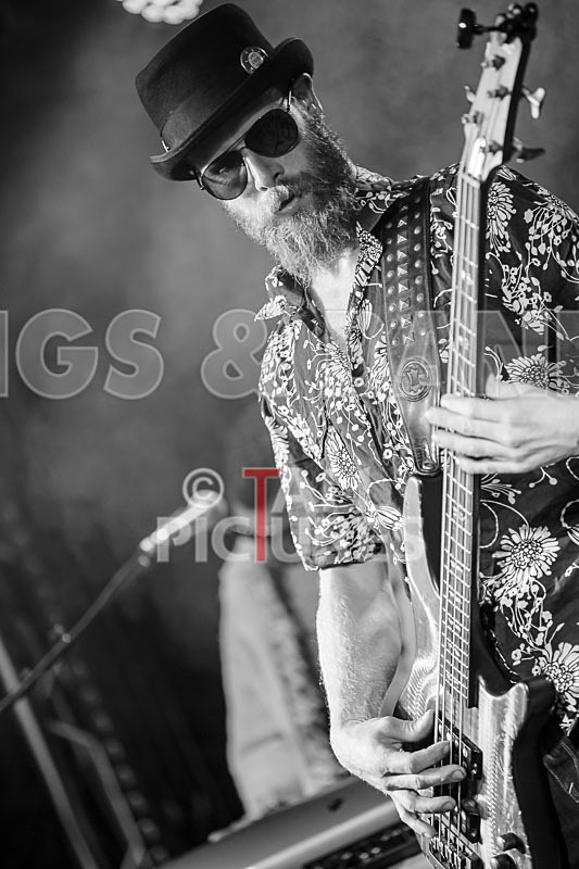 Surfin Birds-53 - SURFIN' BIRDS