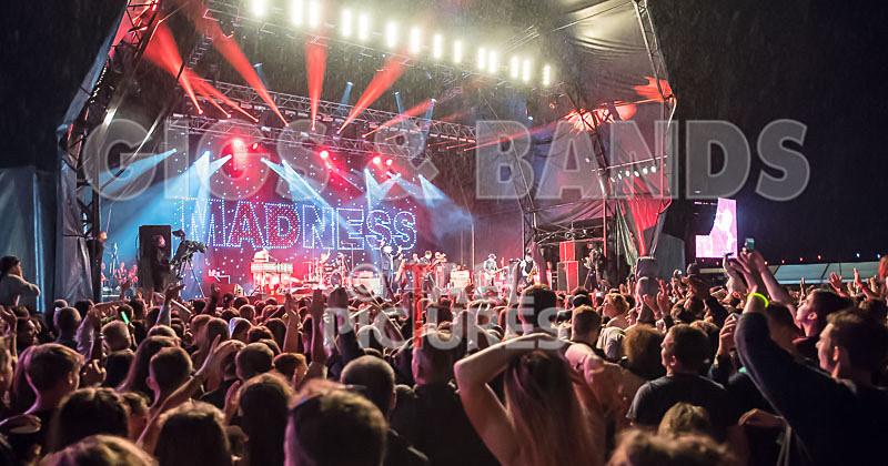 Madness-45 - MADNESS