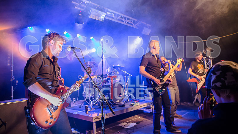 FlashMob-161 - FLASHMOB