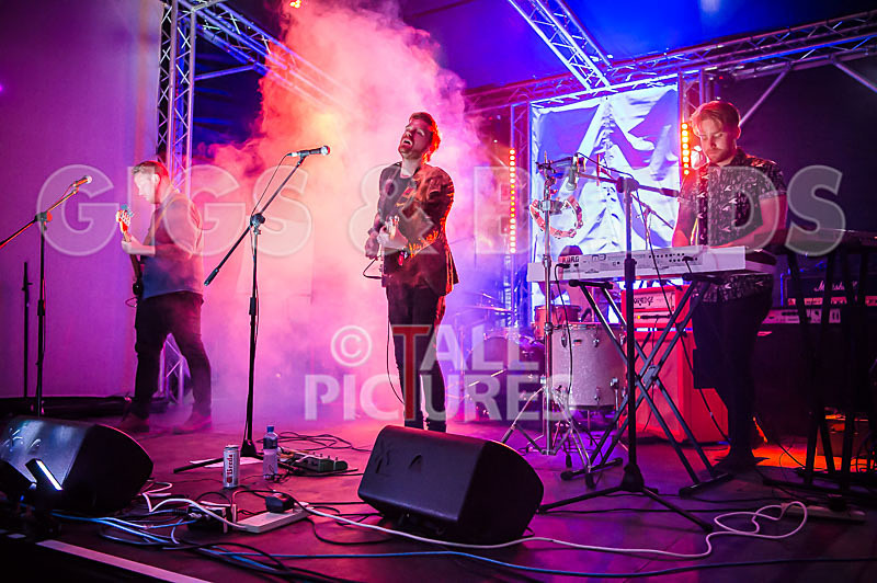 Mozaics-23 - MOZAICS