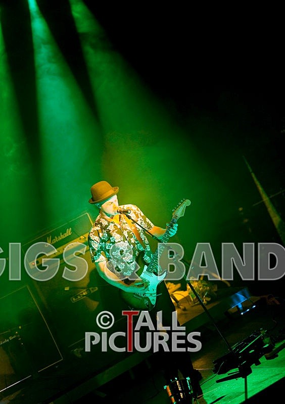 Peppered Ant Legs-11 - PEPPERED ANT LEGS at RoA-3