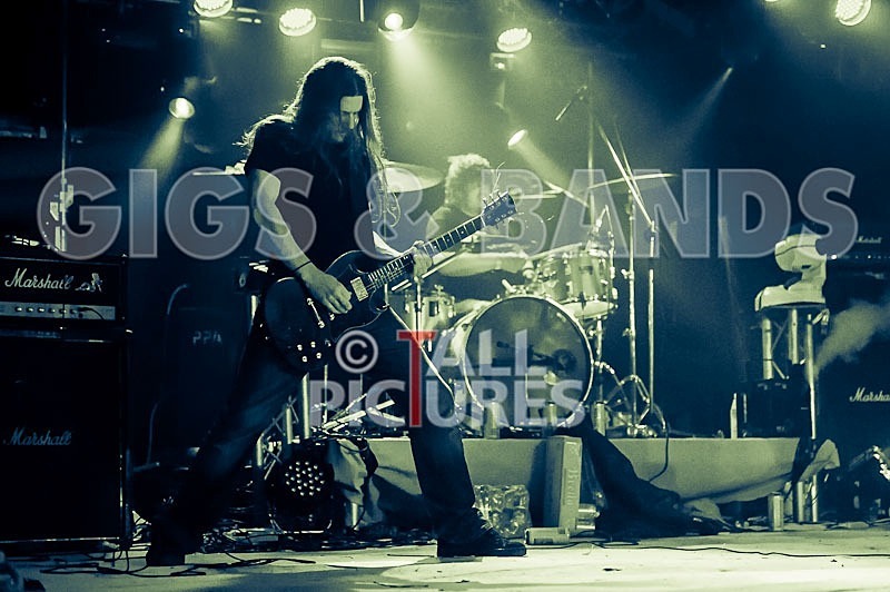 Viking Skull-32 - VIKING SKULL