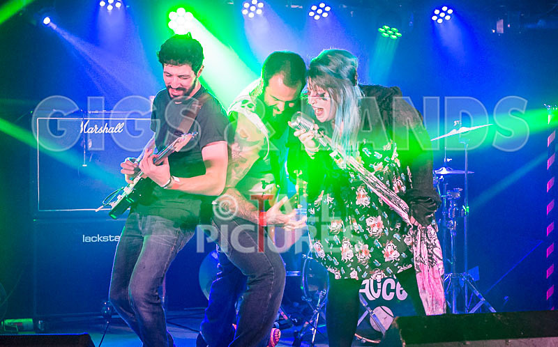 Static Alice-537 - STATIC ALICE