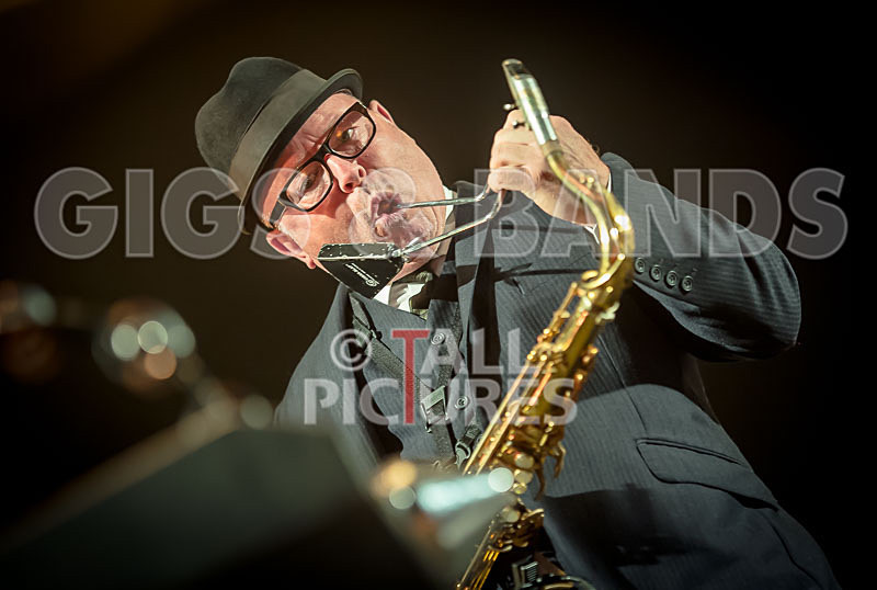 Madness-84 - MADNESS