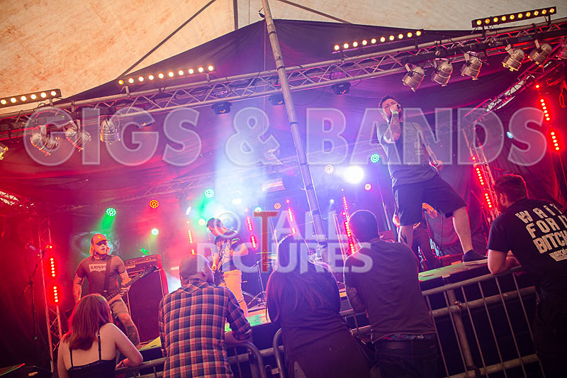 Granite Wolf-28 - GRANITE WOLF