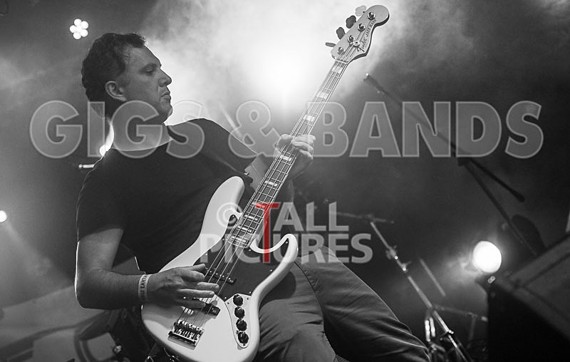 The Cryptics-94 - THE CRYPTICS