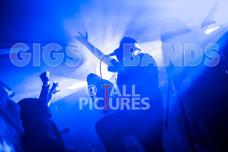 Stone Em All-165 - STONE EM ALL