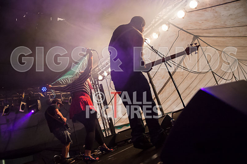 Static Alice-376 - STATIC ALICE