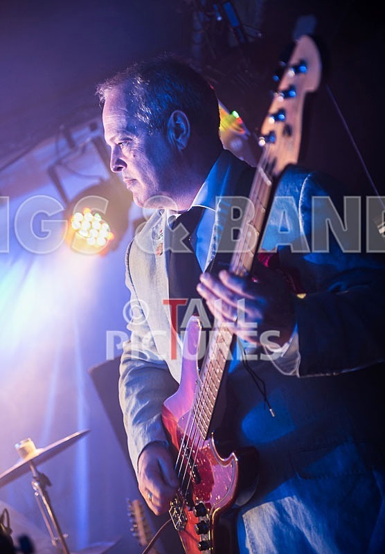 The Pulse-76 - THE PULSE