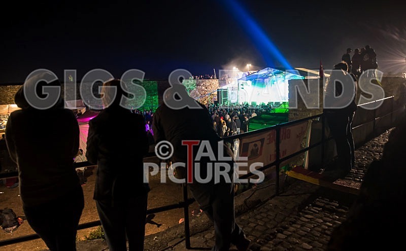 Vale Earth Fair_2013_Atmosphere-67 - VALE EARTH FAIR 2013_THE ATMOSPHERE