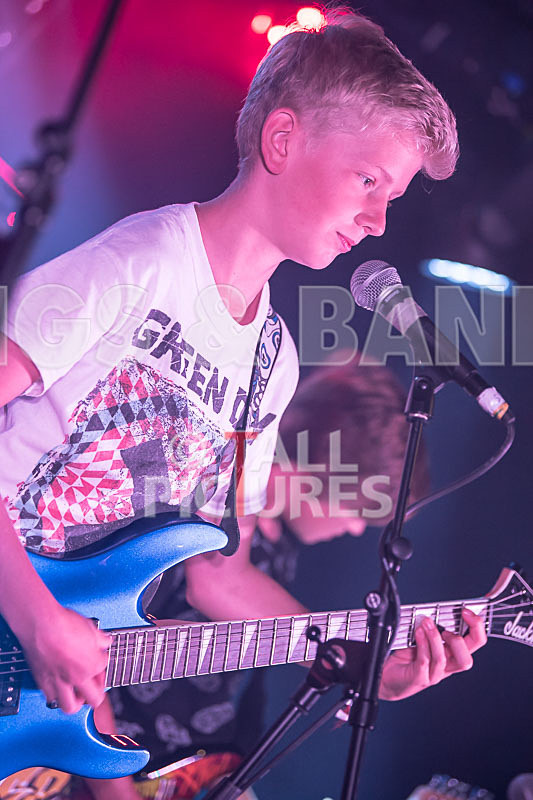 The Lemmings-4 - THE LEMMINGS