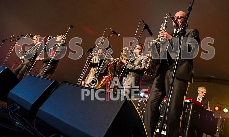 The Selecter-1 - THE SELECTER