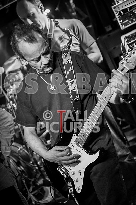 Elysium-219 - ELYSIUM