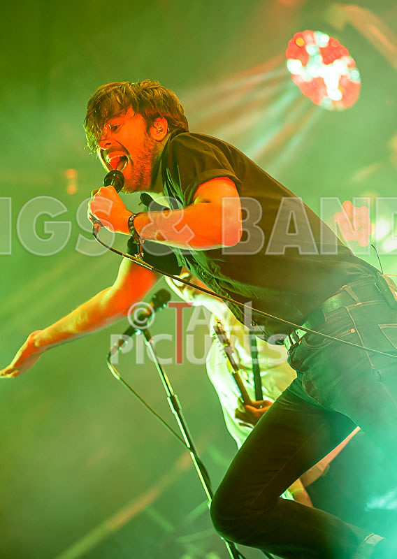 The Vaccines-31 - THE VACCINES