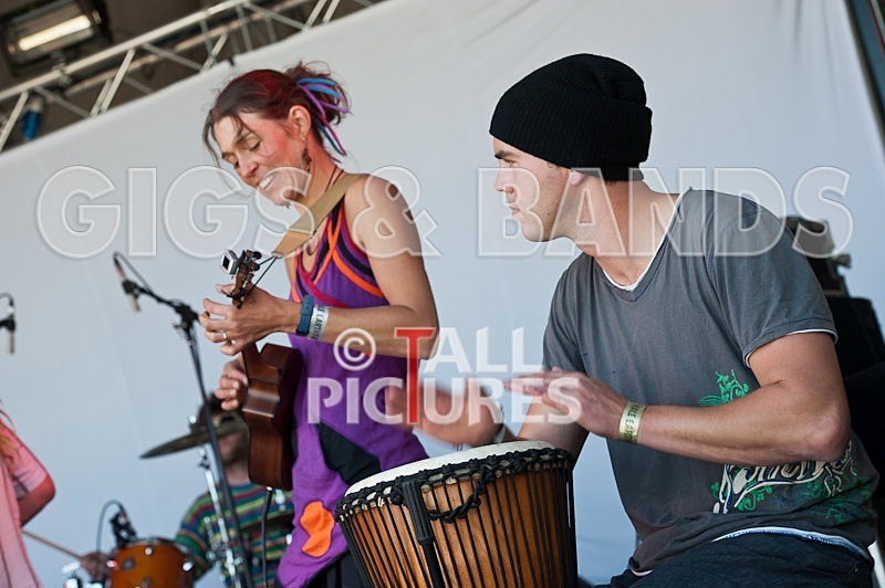 Big Sheep-10 - BIG SHEEP