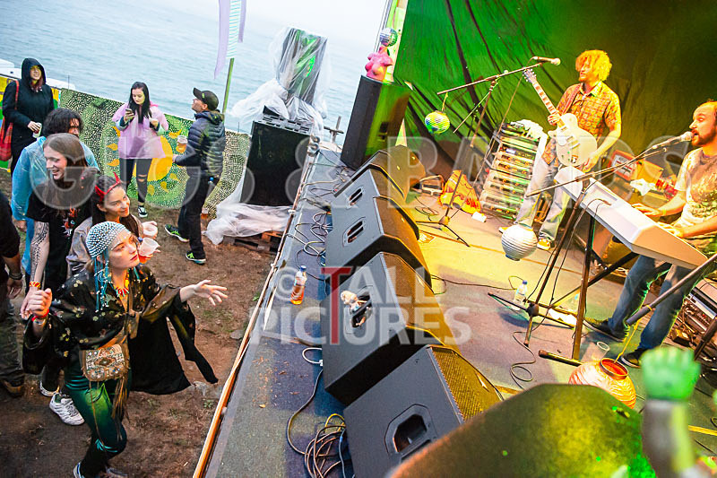 Vale Earth Fair 2018_SCENE-68 - VALE EARTH FAIR 2018_THE SCENE