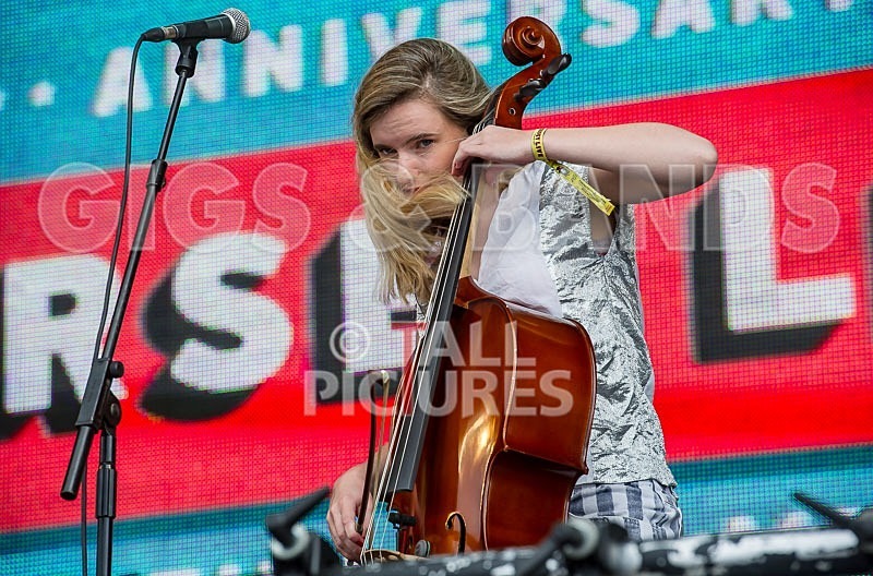 Clean Bandit-15 - CLEAN BANDIT