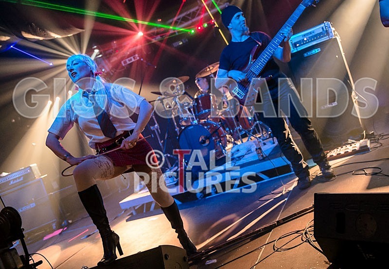 Gallus Cooper-65 - GALLUS COOPER